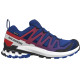 Salomon XA PRO 3D V9 GTX