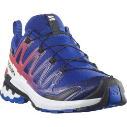 Salomon XA PRO 3D V9 GTX