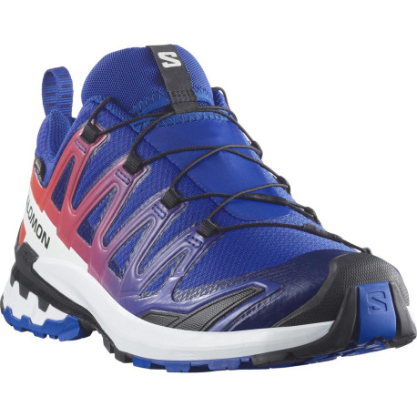 Salomon XA PRO 3D V9 GTX